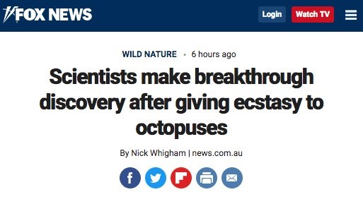 octopus ecstasy.jpg